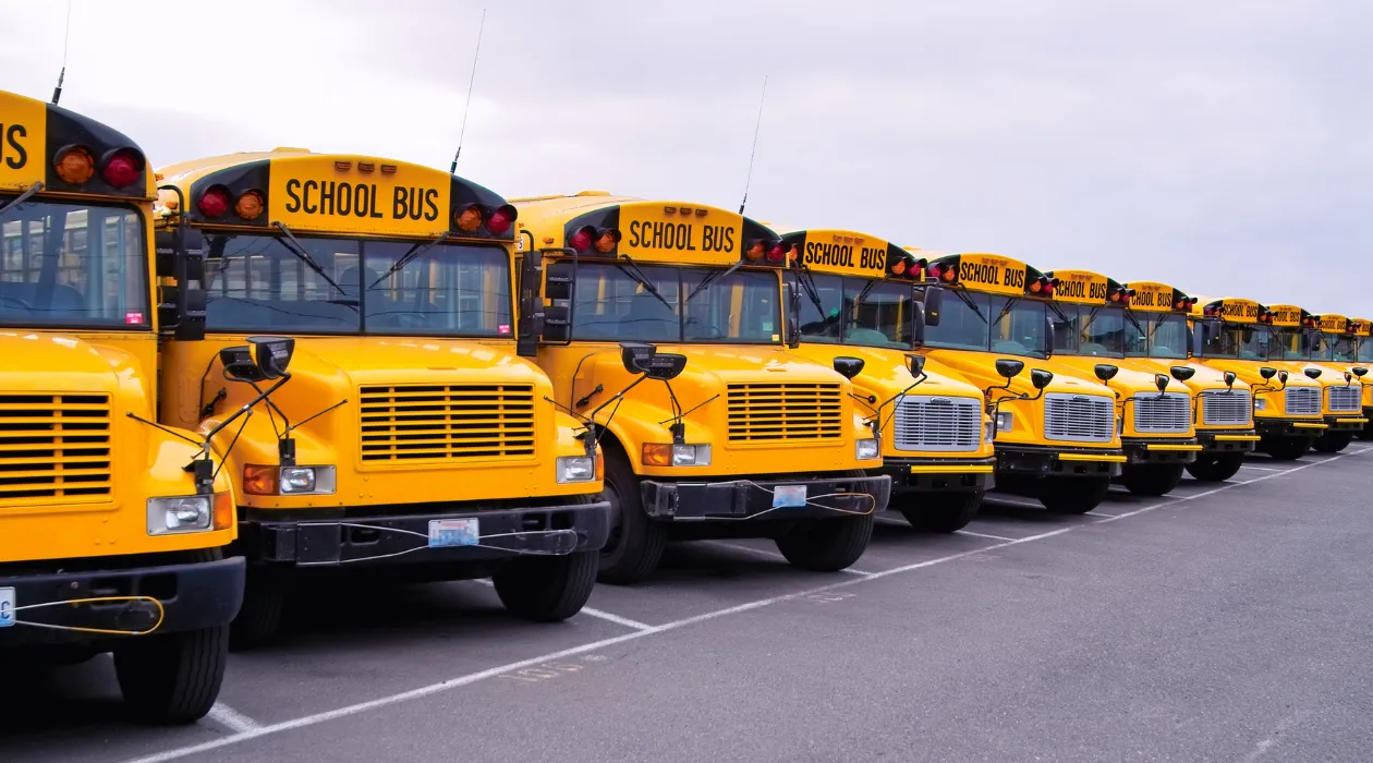 School Bus Comparison Guide: Blue Bird vs. Thomas vs. IC Bus